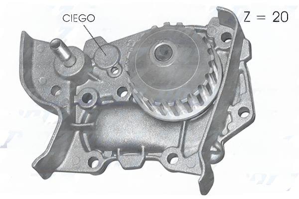 Водяний насос, кільк. зубц. 20, RENAULT CLIO/KANGOO/LOGAN/MEGANE 91- 1.4, Dolz R214