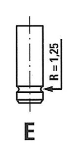 Впускний клапан, Freccia R6029/S