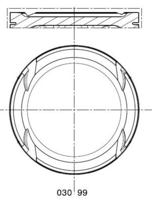 Поршень, Mahle 0309900