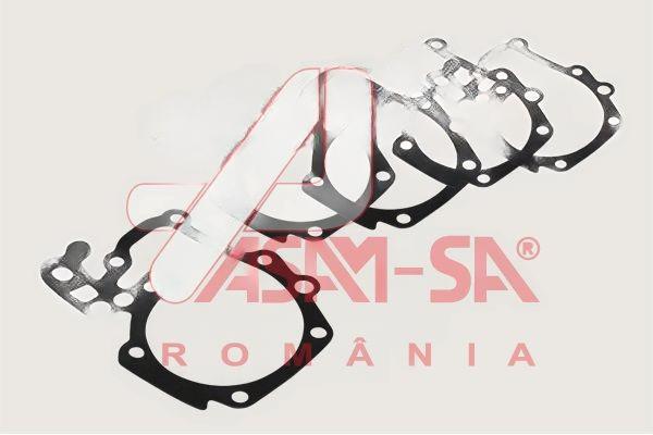 Ущільнення, водяний насос, Renault Logan (04-), Clio, Megane, Kangoo (97-),Sandero (08-) 1.4i/1.6i (32220) Asam, Asam 32220