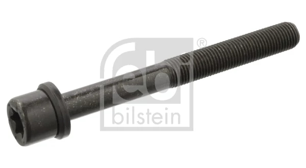 Гвинт голівки циліндра, Febi Bilstein 06543