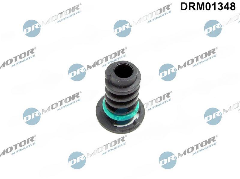 Пробка, оливний піддон, Dr.Motor DRM01348