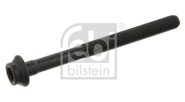 Гвинт голівки циліндра, Febi Bilstein 02951