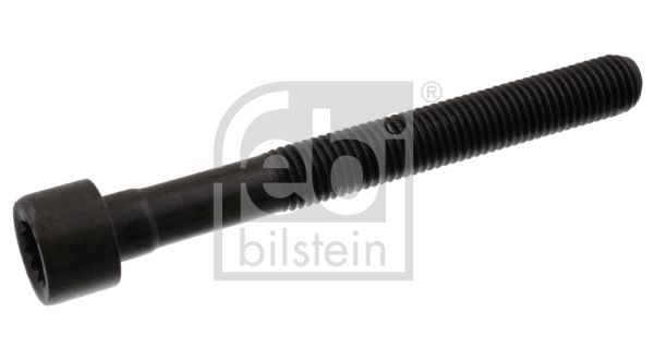 Гвинт голівки циліндра, Febi Bilstein 07978